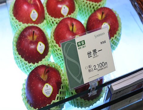 les fruits les plus chers du monde sekai-ichi
